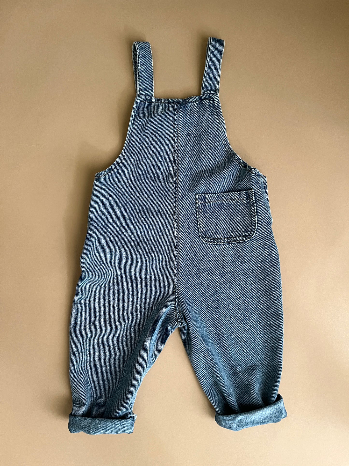 Spring Denim Overall